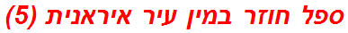 ספל חוזר במין עיר איראנית (5)