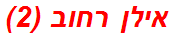 אילן רחוב (2)