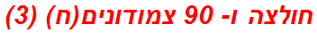 חולצה ו- 90 צמודונים(ח) (3)