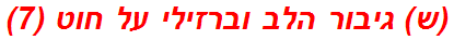 (ש) גיבור הלב וברזילי על חוט (7)