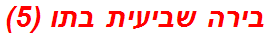 בירה שביעית בתו (5)