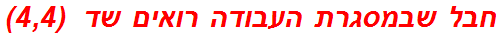 חבל שבמסגרת העבודה רואים שד  (4,4)