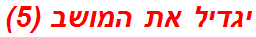 יגדיל את המושב (5)