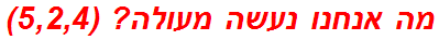 מה אנחנו נעשה מעולה? (5,2,4)