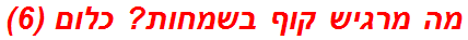 מה מרגיש קוף בשמחות? כלום (6)