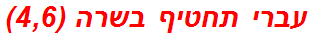 עברי תחטיף בשרה (4,6)