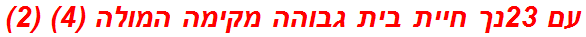 עם 23נך חיית בית גבוהה מקימה המולה (4) (2)