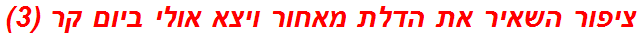 ציפור השאיר את הדלת מאחור ויצא אולי ביום קר (3)