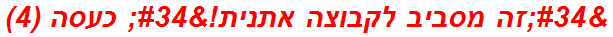 "זה מסביב לקבוצה אתנית!" כעסה (4)