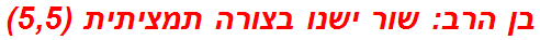 בן הרב: שור ישנו בצורה תמציתית (5,5)