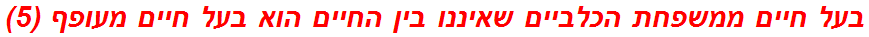 בעל חיים ממשפחת הכלביים שאיננו בין החיים הוא בעל חיים מעופף (5)