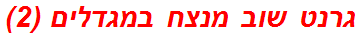 גרנט שוב מנצח במגדלים (2)