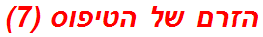 הזרם של הטיפוס (7)