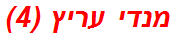 מנדי עריץ (4)