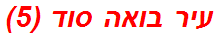 עיר בואה סוד (5)