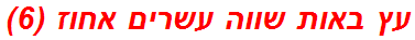 עץ באות שווה עשרים אחוז (6)