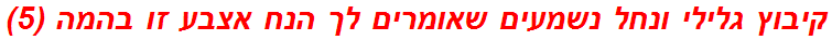 קיבוץ גלילי ונחל נשמעים שאומרים לך הנח אצבע זו בהמה (5)