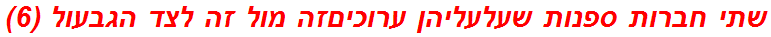 שתי חברות ספנות שעלעליהן ערוכיםזה מול זה לצד הגבעול (6)