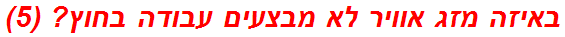 באיזה מזג אוויר לא מבצעים עבודה בחוץ? (5)