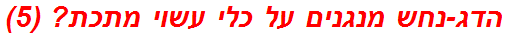 הדג-נחש מנגנים על כלי עשוי מתכת? (5)