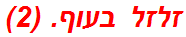 זלזל בעוף. (2)