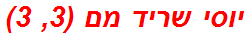 יוסי שריד מם (3, 3)