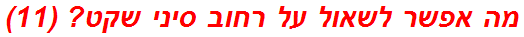 מה אפשר לשאול על רחוב סיני שקט? (11)