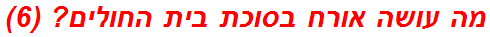 מה עושה אורח בסוכת בית החולים? (6)