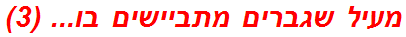 מעיל שגברים מתביישים בו... (3)