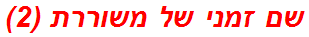 שם זמני של משוררת (2)