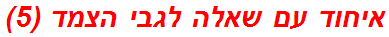 איחוד עם שאלה לגבי הצמד (5)