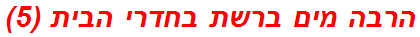 הרבה מים ברשת בחדרי הבית (5)