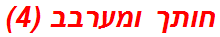 חותך ומערבב (4)