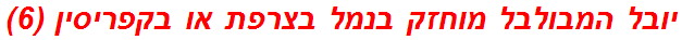 יובל המבולבל מוחזק בנמל בצרפת או בקפריסין (6)