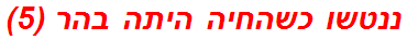 ננטשו כשהחיה היתה בהר (5)