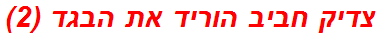 צדיק חביב הוריד את הבגד (2)