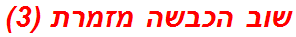 שוב הכבשה מזמרת (3)