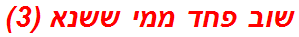 שוב פחד ממי ששנא (3)