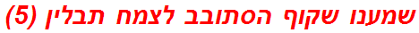 שמענו שקוף הסתובב לצמח תבלין (5)