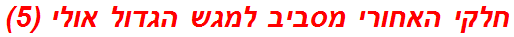 חלקי האחורי מסביב למגש הגדול אולי (5)