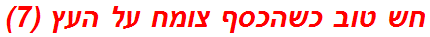 חש טוב כשהכסף צומח על העץ (7)