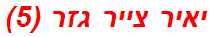 יאיר צייר גזר (5)