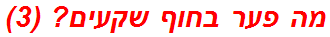 מה פער בחוף שקעים? (3)