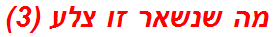 מה שנשאר זו צלע (3)