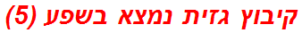 קיבוץ גזית נמצא בשפע (5)