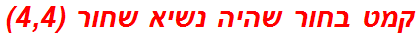 קמט בחור שהיה נשיא שחור (4,4)