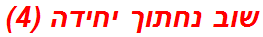 שוב נחתוך יחידה (4)