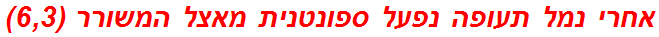 אחרי נמל תעופה נפעל ספונטנית מאצל המשורר (6,3)