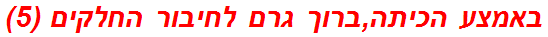 באמצע הכיתה,ברוך גרם לחיבור החלקים (5)