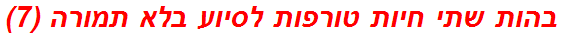 בהות שתי חיות טורפות לסיוע בלא תמורה (7)